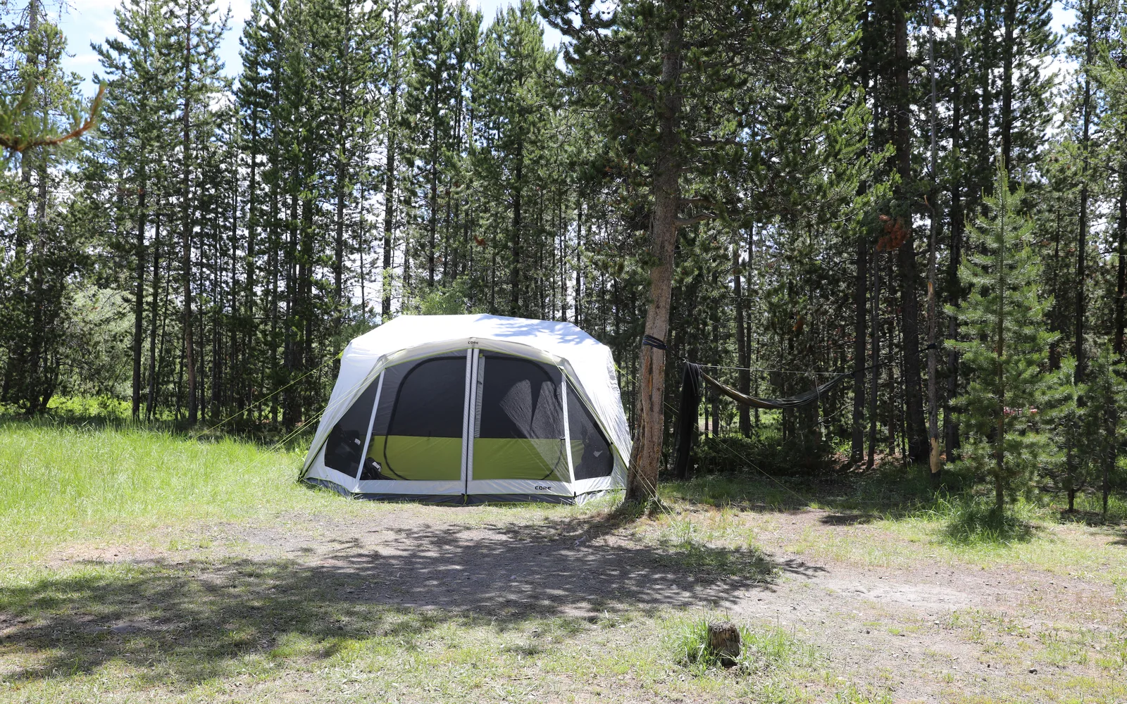 A tent and hammock set up at a forest campsite, surrounded by tall trees and natural woodland